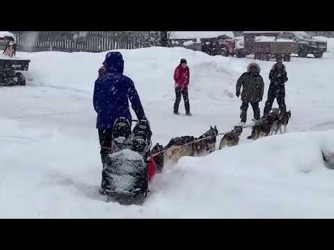 Anna Berington Finish Bib #5 - 2023 Tug 150 Goose Bay Inn - Alaska Sled Dog Race  // Kale Casey Live