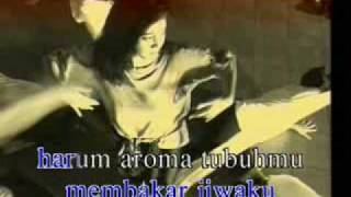 Ebiet G Ade - Apakah Ada Bedanya.wmv