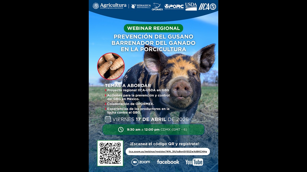 Webinar regional: Prevención del gusano barrenador del ganado en la porcicultura- 17 de abril