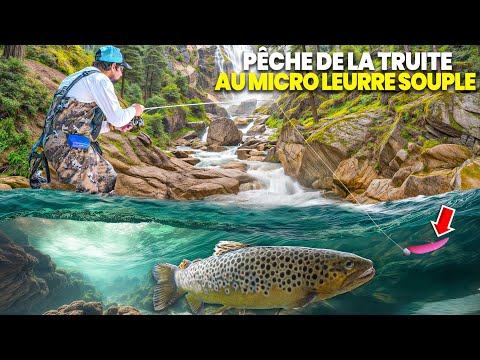 Je pêche avec un CHAMPION DE FRANCE et il me DÉVOILE ses micro leurres souples MAISON !