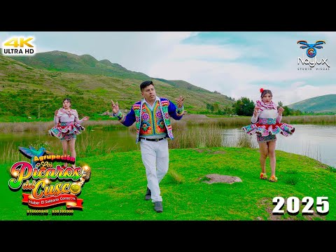 AGRUPACION LOS PICAROS DEL CUSCO / Cervecita hay Roncito (Video Oficial 2025)