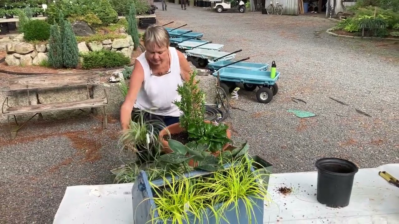 Container Garden Tips