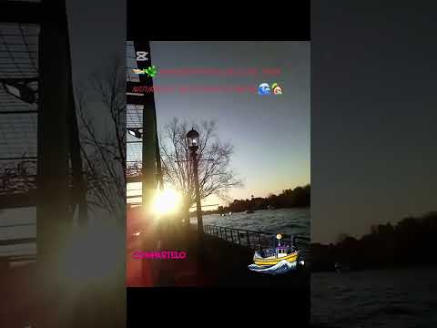 NAVEGANDO POR EL DELTA DEL TIGRE: NATURALEZA, RÍOS Y PAISAJES ÚNICOS 🌊🏡🌳🛶📍  🇦🇷