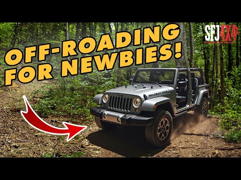 Off-Roading 101: Everything You Need to Know Before You Go