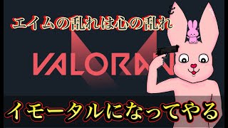 VALORANTイモータルを目指して戦う