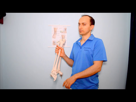 Frattura del Malleolo Esterno: Quali sono i sintomi e la Fisioterapia