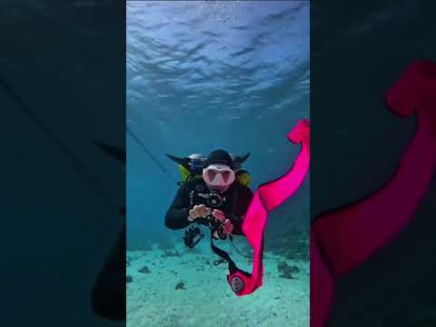 Boya de seguridad #tipsdebuceo #buceo #scuba #scubadiving #buzo #vamosabucear