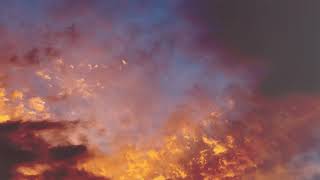 【 #BOF21 】Xiba - Magic hour【MV】