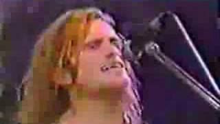 Jellyfish  No Matter What