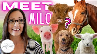 A NEW ANIMAL JOINS THE FARM - MEET MILO! | VLOG