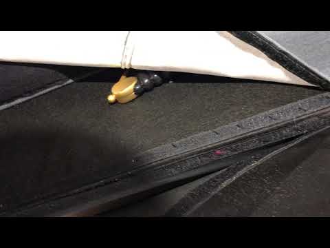 Pull Out Couch Full of Bed Bugs in Oceanport, NJ