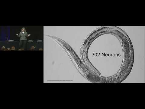 From Chips to Thoughts: Building Physical Intelligence into Robotic Systems - Daniela Rus (MIT)