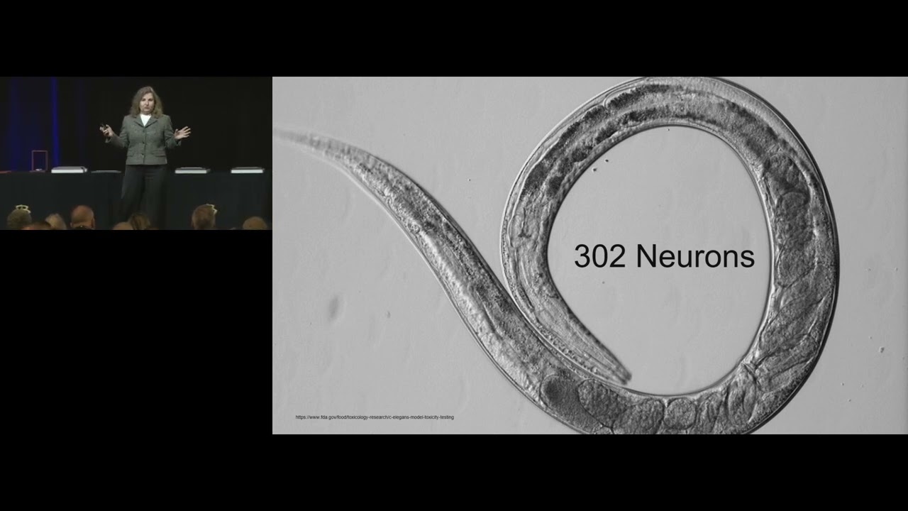 From Chips to Thoughts: Building Physical Intelligence into Robotic Systems - Daniela Rus (MIT)