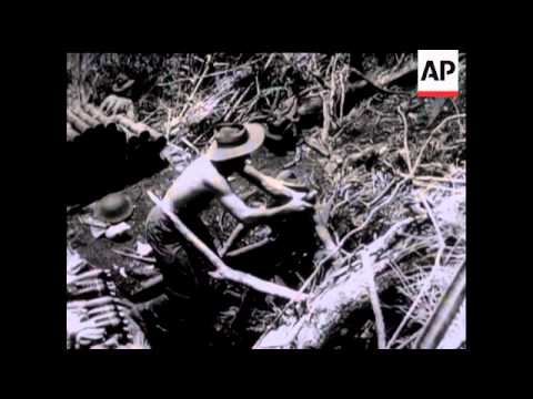 Battle For Shaggy Ridge