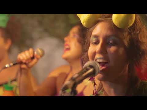 Brinquedo video