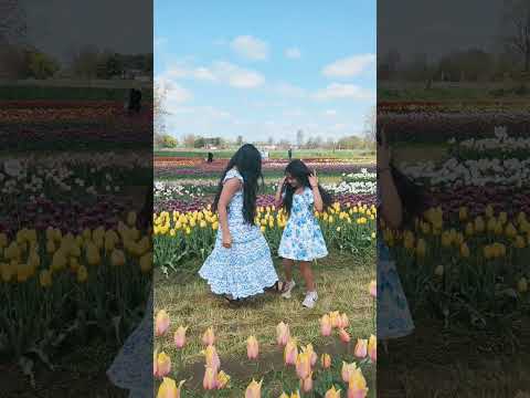 went to the tulip festival 💐💐