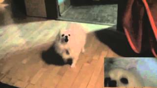 Cover art for extended Undertale source