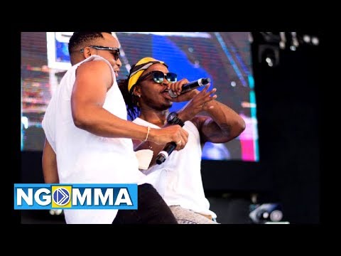 Tam Tam - Timmy Tdat & Otile Brown ( Official Audio )