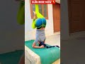 Yoga Riya Kumari Mustwatch Yoga Home Workout Girl Attitudestatus Instareels Shorts