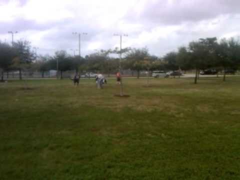 2011  orange bowl tennis fighting championship