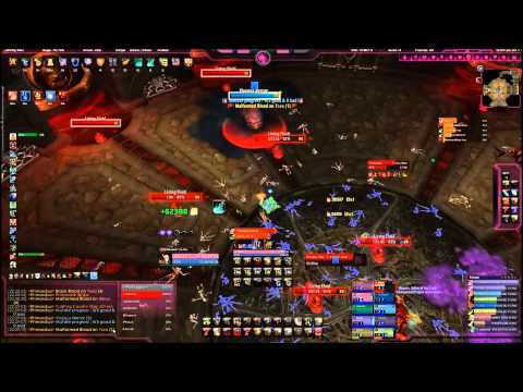 Primordius 10man HC - 2 healed Pally Tank PoV