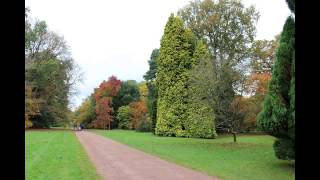 preview picture of video 'Westonbirt Arboretum Autumn Colours 25 October 2014'
