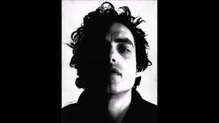 The Wallflowers 'Skinny Lips' (live 1994)