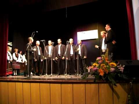 "KLAPA BOSKARIN" Hrvatski festival DNV 2009