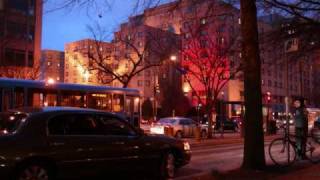 City Night Beauty Bump