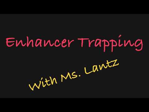 download lagu mp3 mp4 Promoter Trap, download lagu Promoter Trap gratis, unduh video klip Promoter Trap