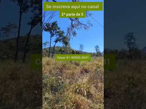 2ª Ótima fazenda de 18 alqueires em Padre Bernardo GO. #brasil ##agro #fazenda #gado #padrebernardo