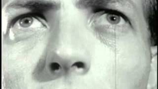 Scarlet Street - lion in a cage(point_of_no_return).mp4