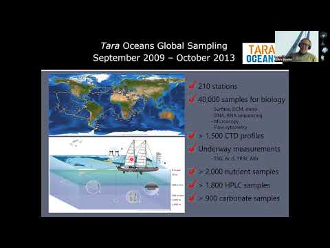 Tara Oceans - Chris Bowler