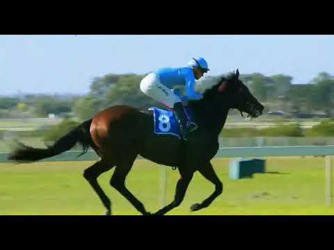 NARINA TROGON - RACE 1 #kenilworth 25 JUNE 2022