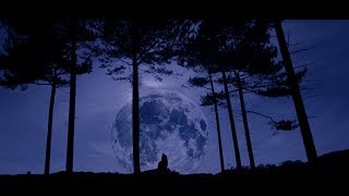 Stadiumx - Howl At The Moon video
