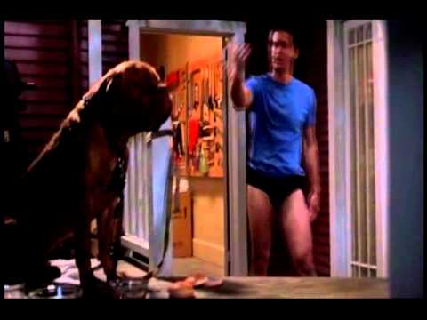 Turner and Hooch Barking at the middle of the night