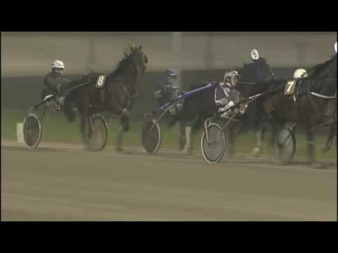 Victoria Park Wolvega 30-12-2016 KOERS 7 BANKER TRANSS R - J. VAN RIJN
