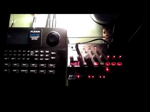 Alesis SR16 e Korg Volca Bass - 3