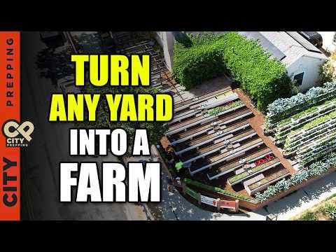 @CityPrepping - "How To Grow Unlimited Food In Suburbia"