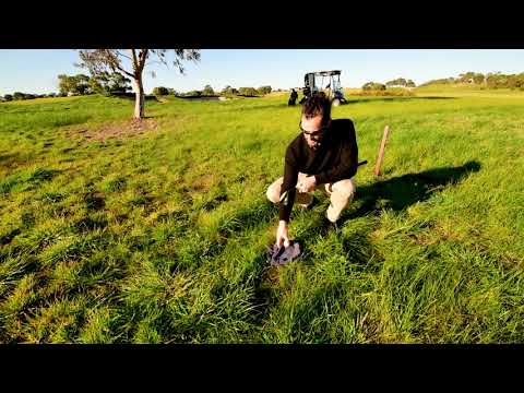 Rules of Golf: Ball on Towel in Penalty Area