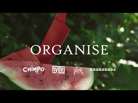 NOT4MANY [FEAT. CHUNKY, CHIMPO, RAGOLOCO & ROLLA] - ORGANISE