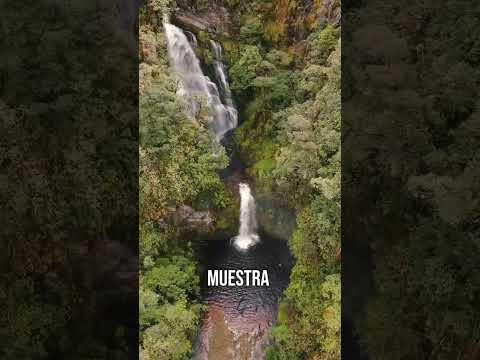 EL TRAMPOLÍN DE LA BIODIVERSIDAD ES UN CAMINO LLENO DE MAGIA, NATURALEZA Y PAISAJES QUE ENAMORAN ⛰️🌿