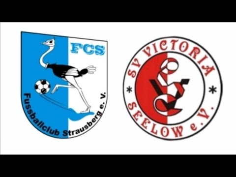 15.04.2016 FC Strausberg vs. SV Viktoria Seelow 1:0