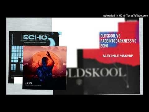 Oldskool vs Fade Into Darkness vs Echo (Alex Myles Mashup)