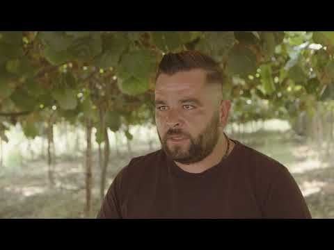 Ακτινίδιο Πιερίας ΠΓΕ