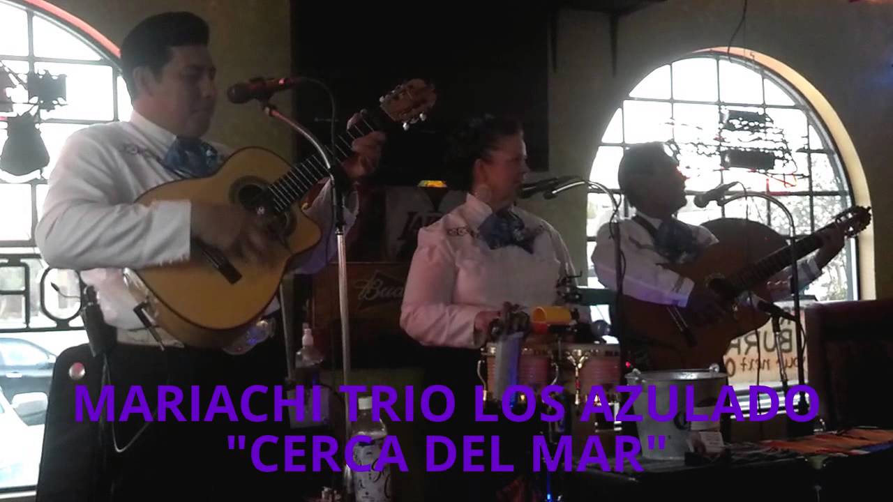 Promotional video thumbnail 12 for Mariachi Trio Los Azulado