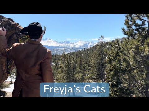Freyja's cats