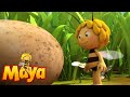 Follow That Egg Maya The Bee Episode 56