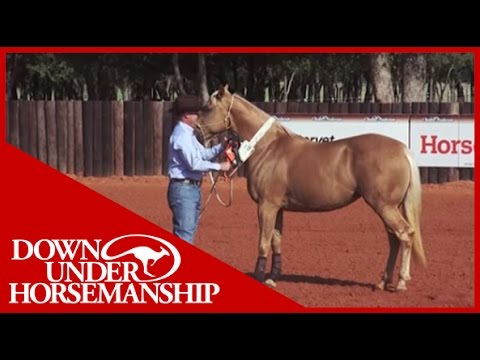 Clinton Anderson: Training a Rescue Horse, Part 9 - Downunder Horsemanship