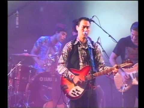 ארז נץ בוודסטוק הישראלי